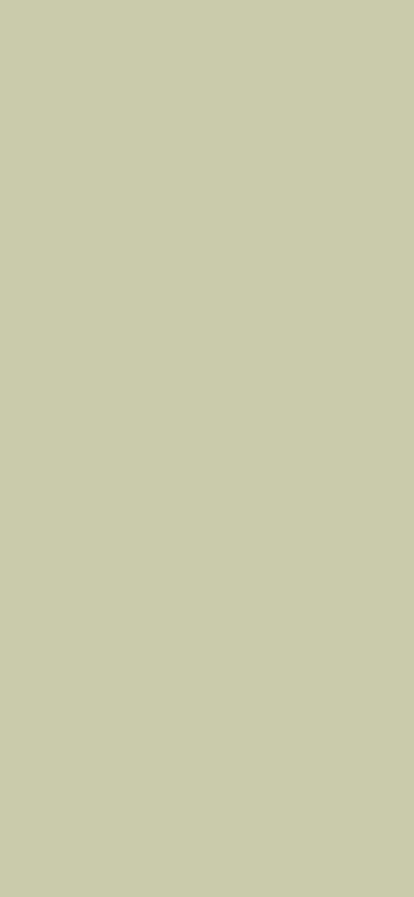#CBCCAB color image