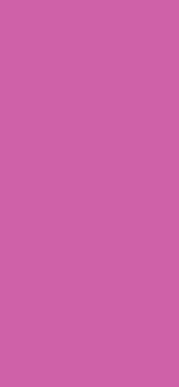 #CC61A5 color image