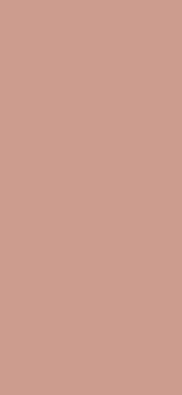 #CC9C8F color image