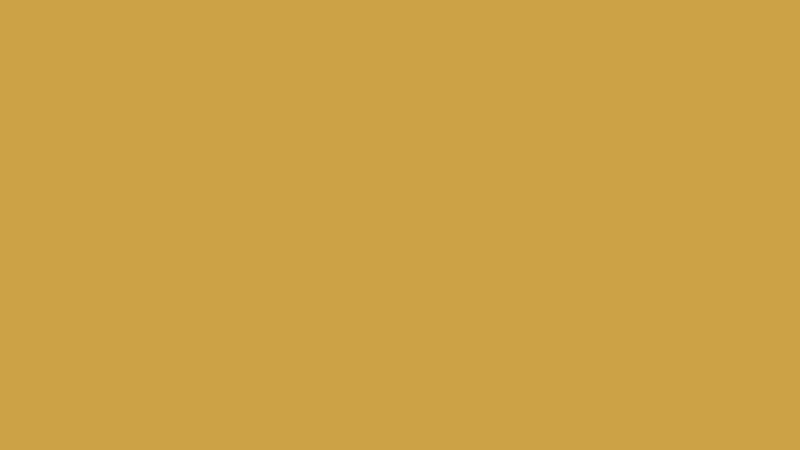 #CCA246 color image