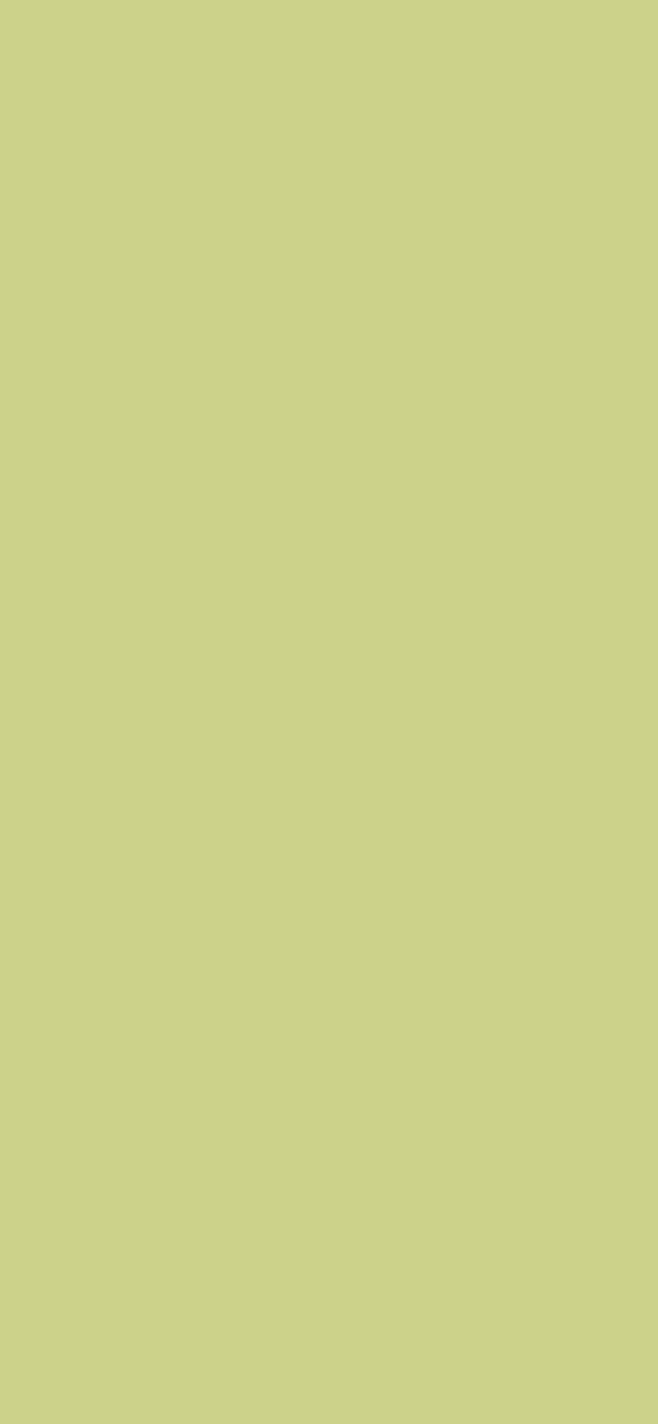 #CCD28A color image