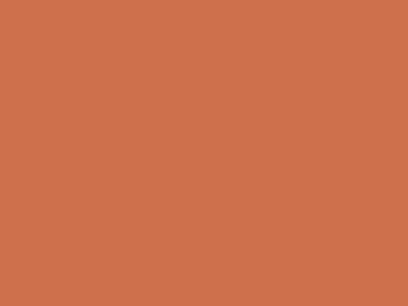 #CD6F4A color image