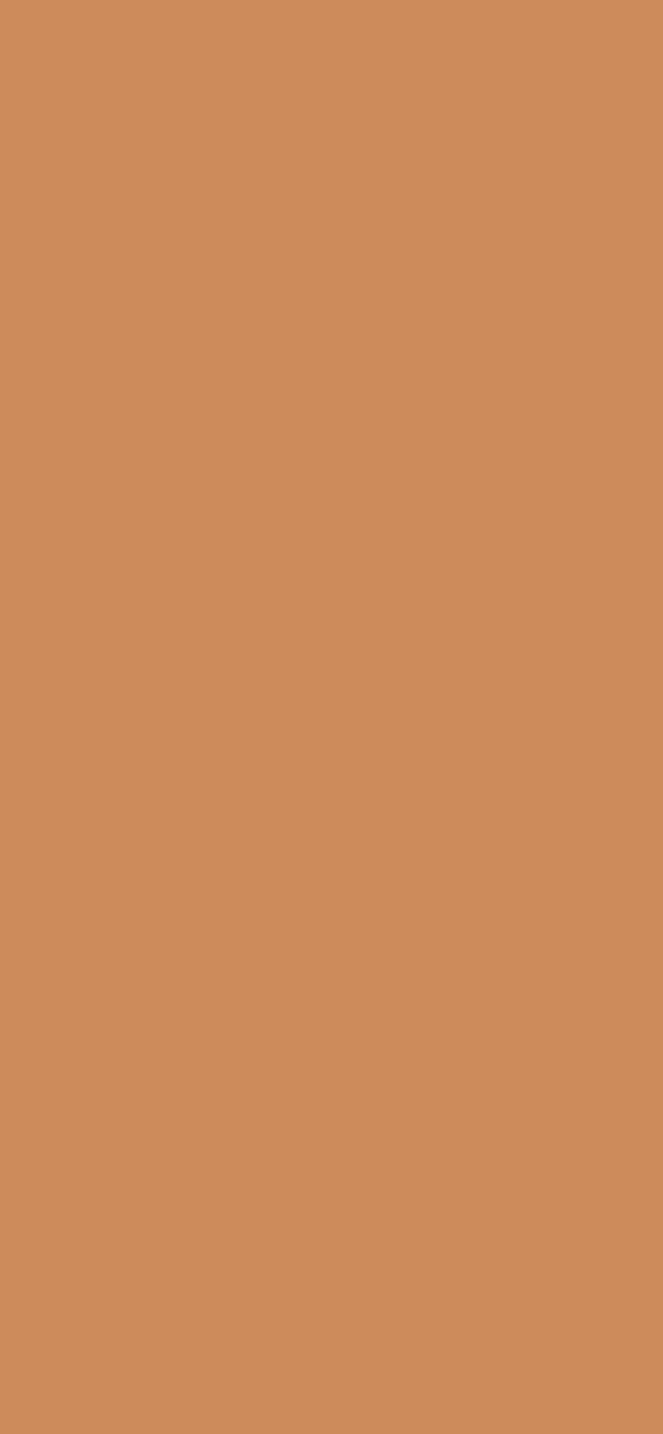 #CD8A5A color image