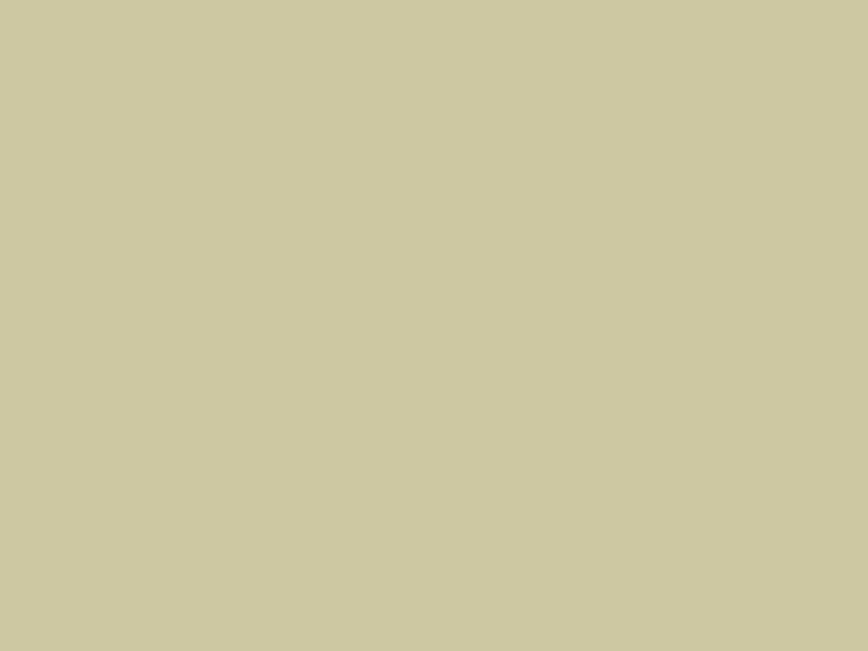 #CDC8A1 color image