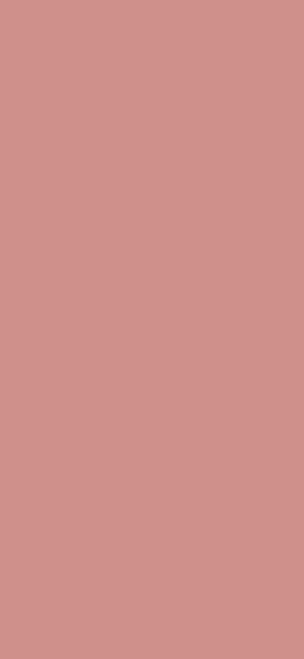 #CE8E8A color image