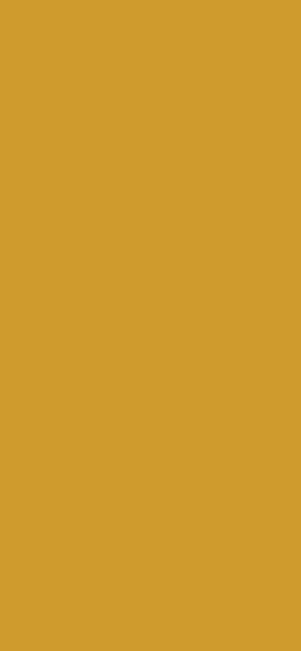#CF9B2D color image