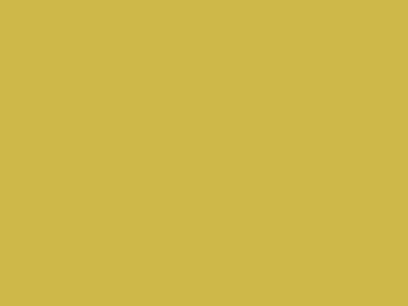 #CFB84A color image