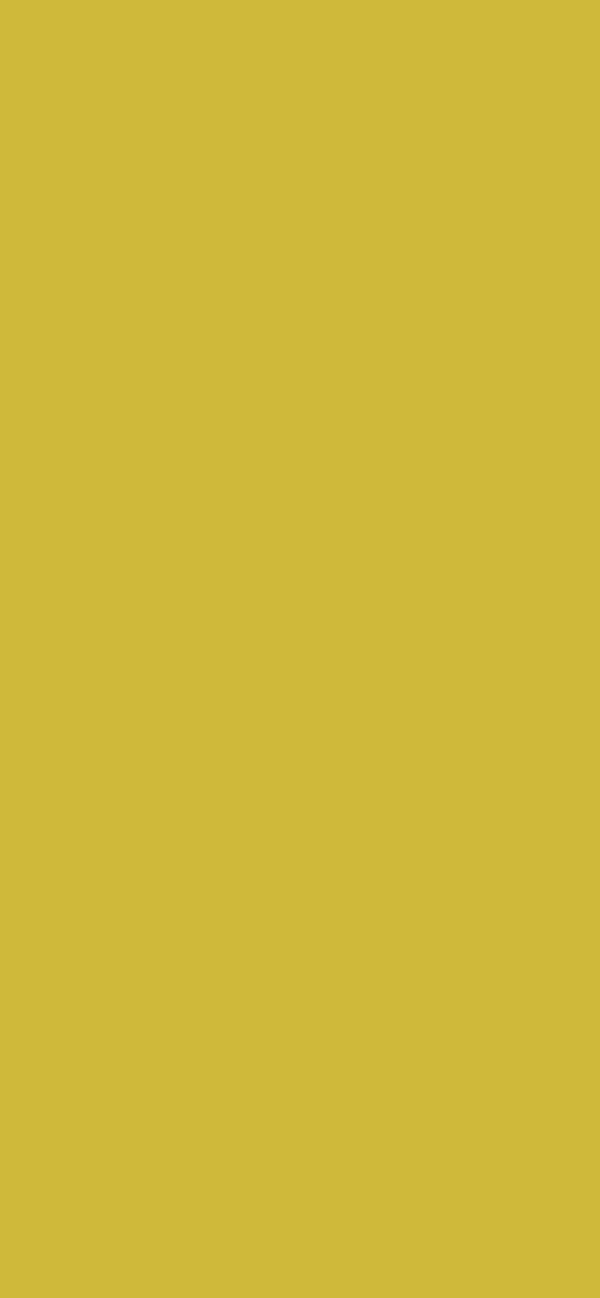 #CFB93A color image