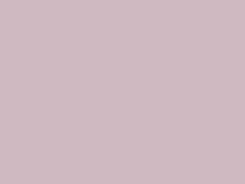 #CFB9C1 color image