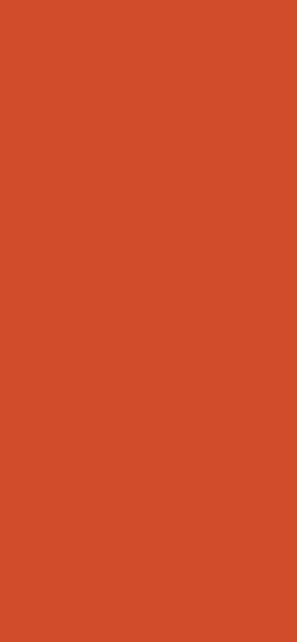 #D14C2B color image