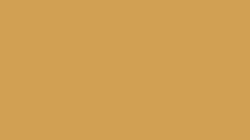 #D1A053 color image