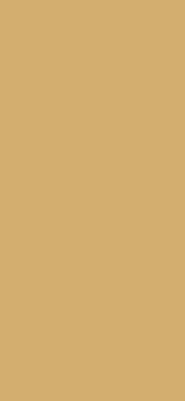 #D3AE6F color image