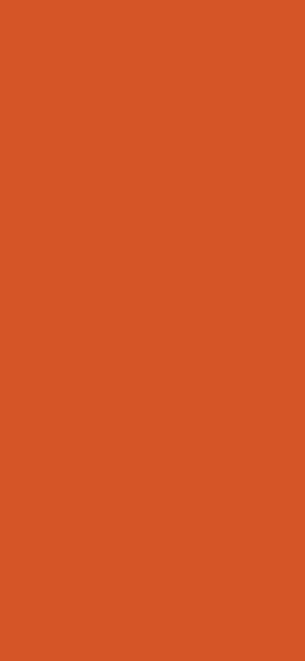 #D55527 color image