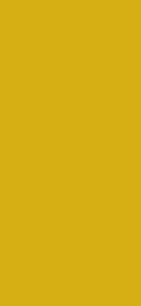 #D5AF14 color image