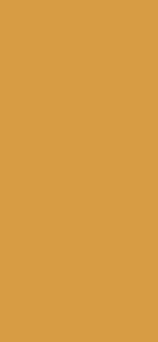 #D79C44 color image