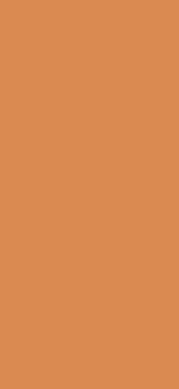 #DA8A51 color image