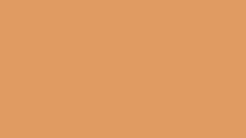#DF9B62 color image