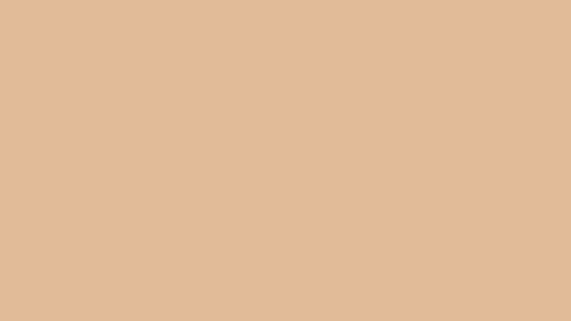 #E1BB98 color image