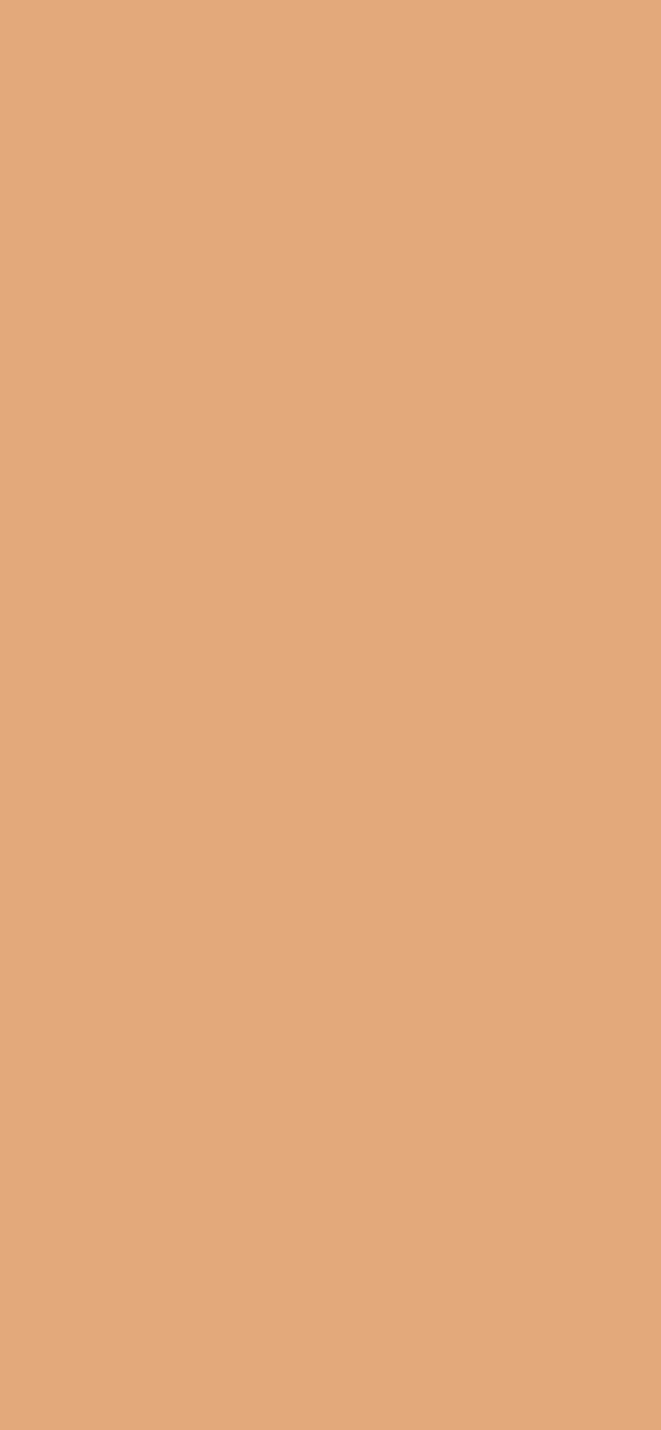 #E3A97A color image