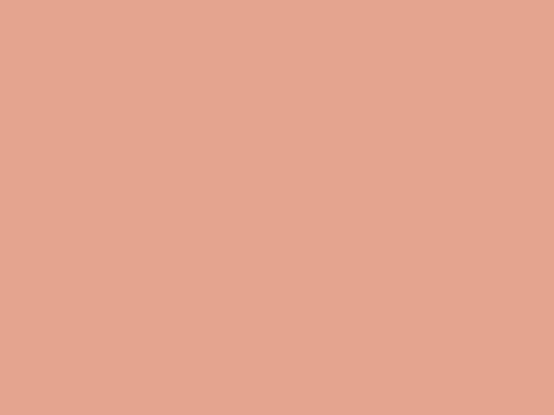 #E4A48F color image