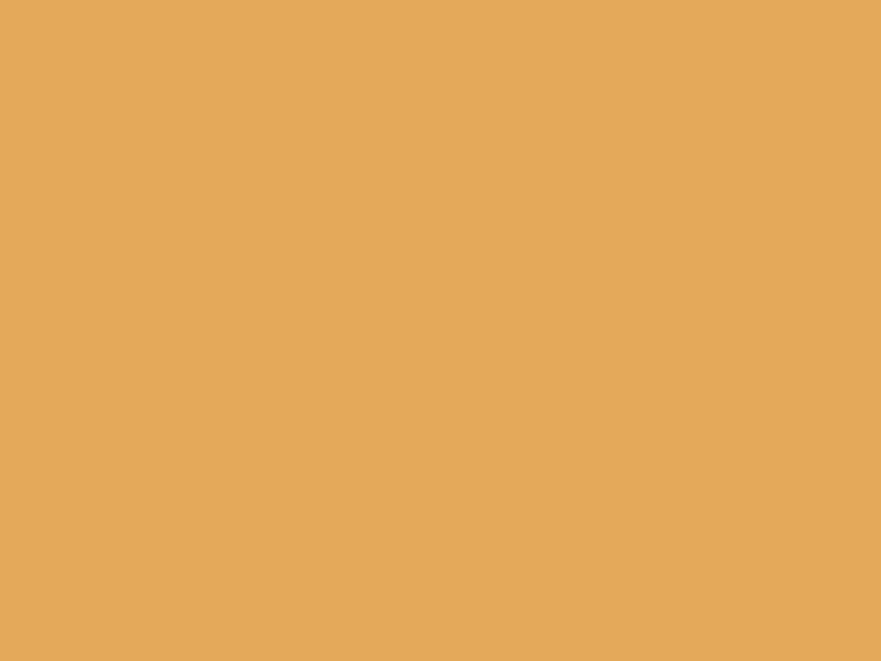 #E4A95A color image