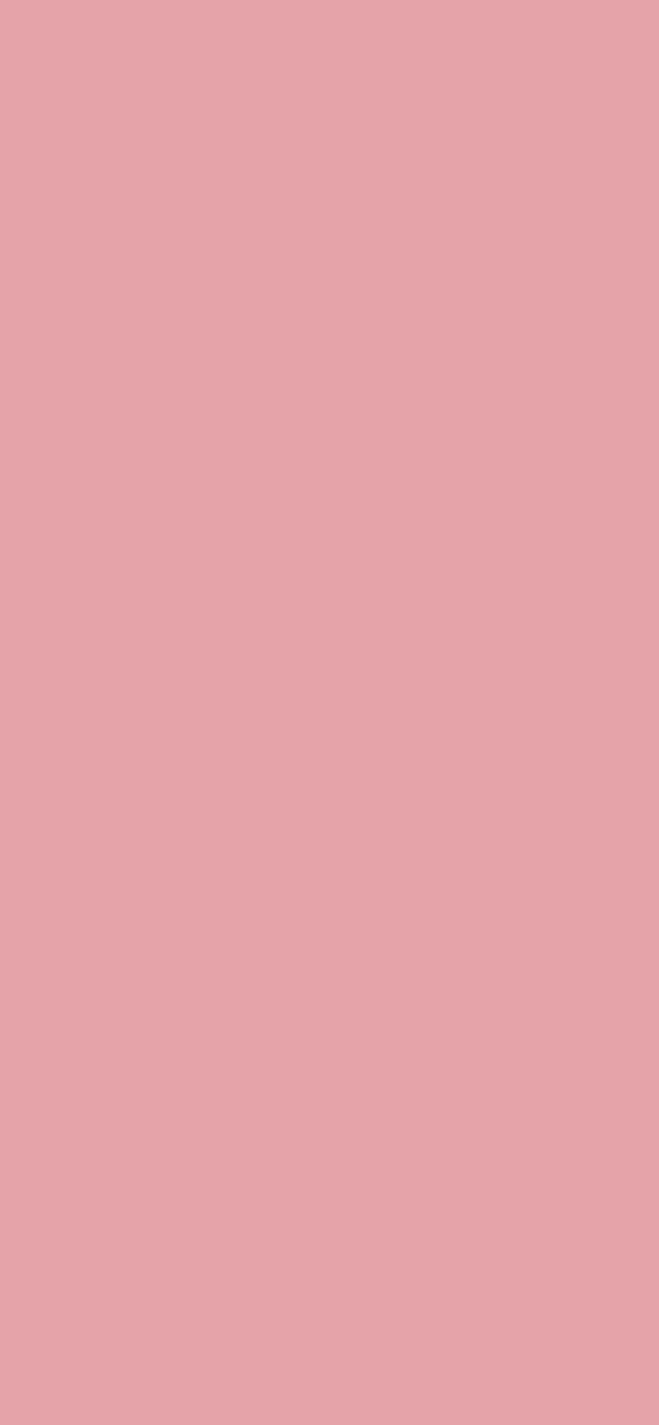 #E5A3A9 color image
