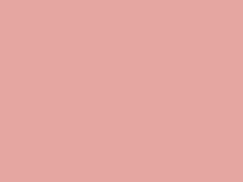 #E5A5A1 color image