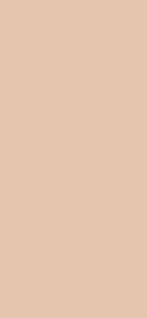 #E5C5AE color image