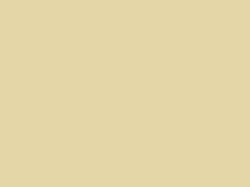 #E5D6A7 - Bavarian Cream color image