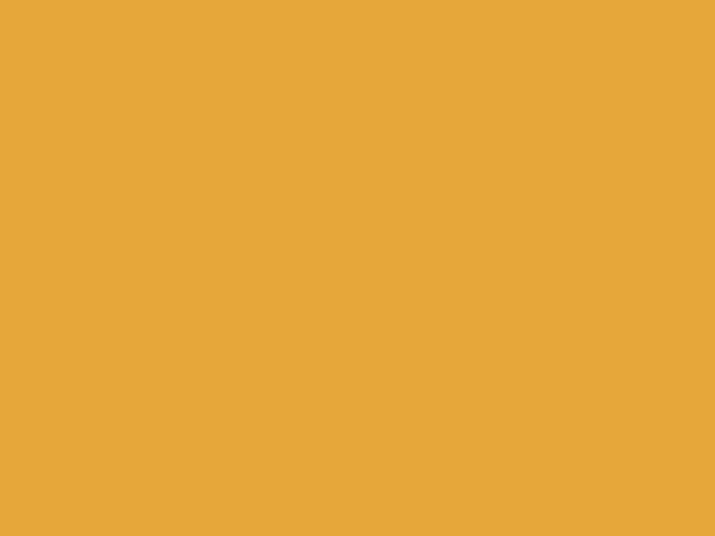 #E6A73A color image