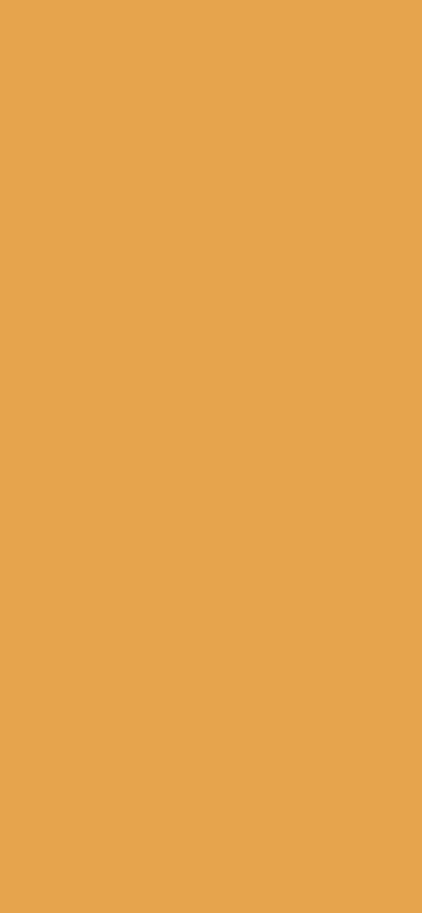 #E7A34A color image