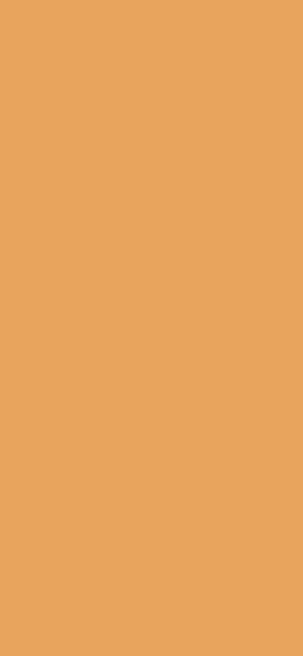 #E7A35A color image