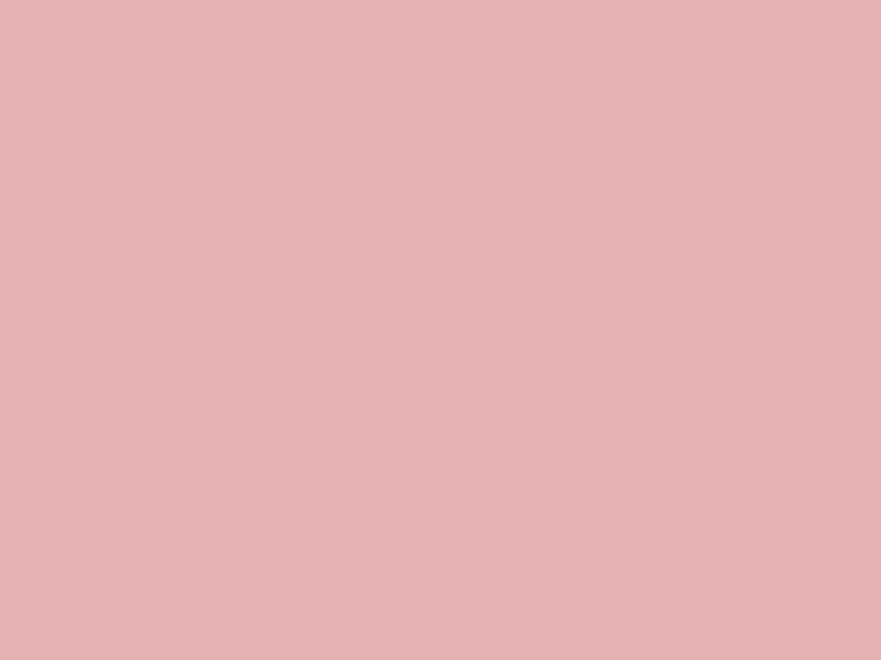 #E7B0B1 color image