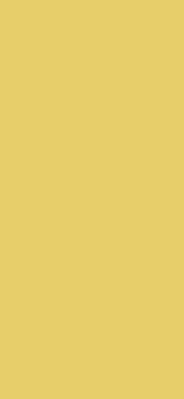 #E7CC6A color image