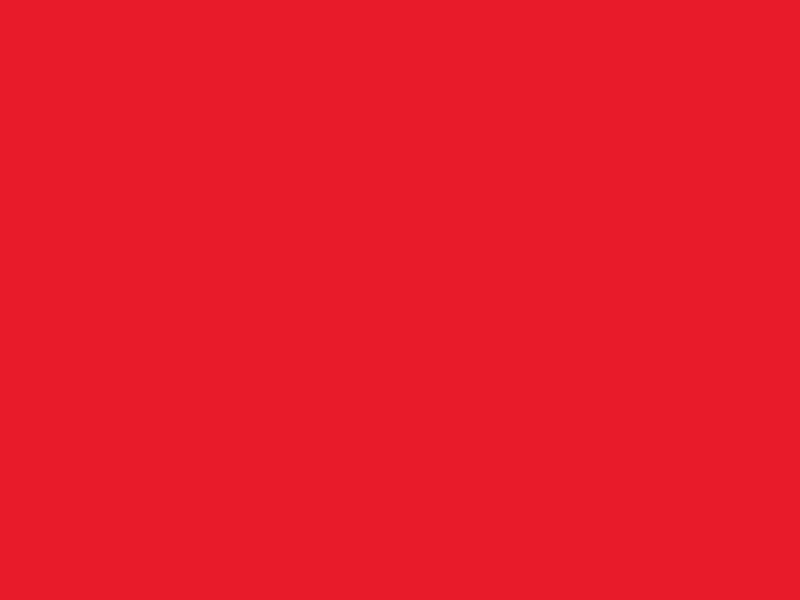 #E81B2A color image