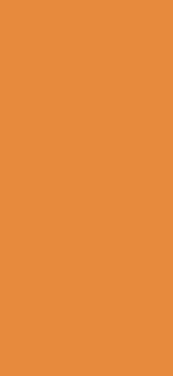 #E88A3D color image