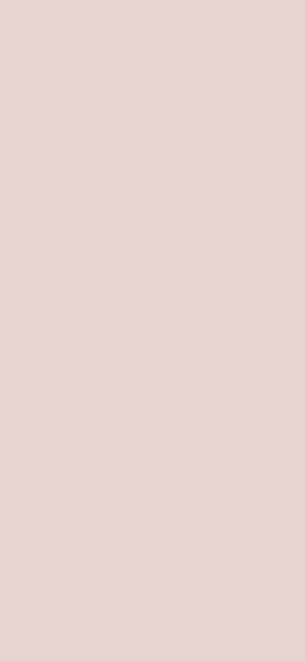 #E8D4D1 color image