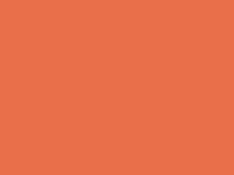 #E96F4A color image