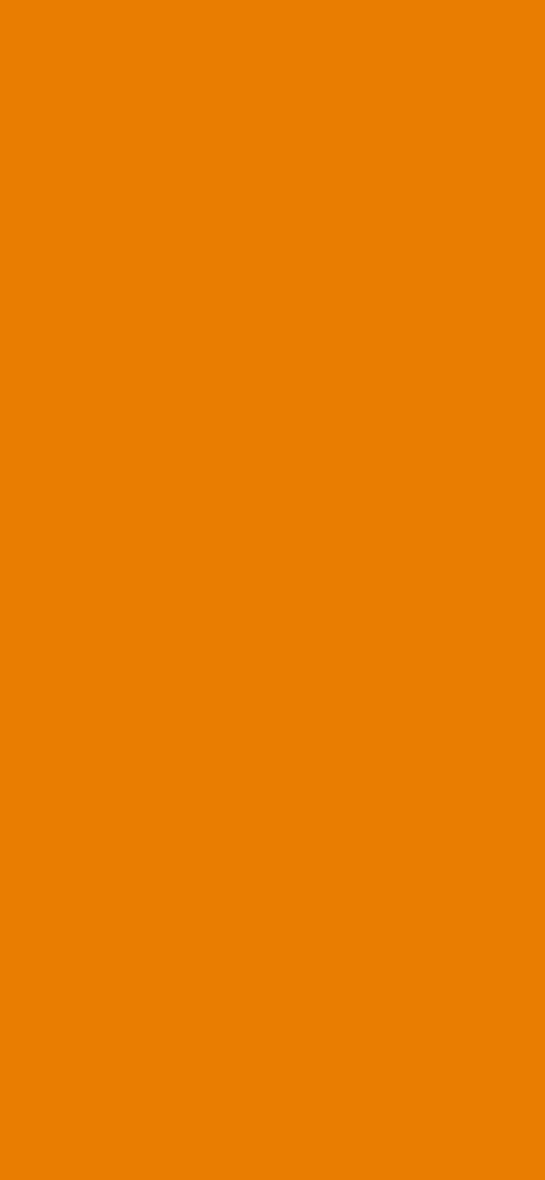 #E97D01 color image