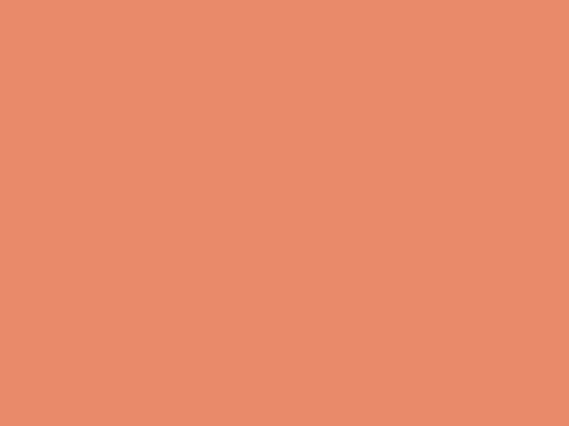 #E98A6A color image