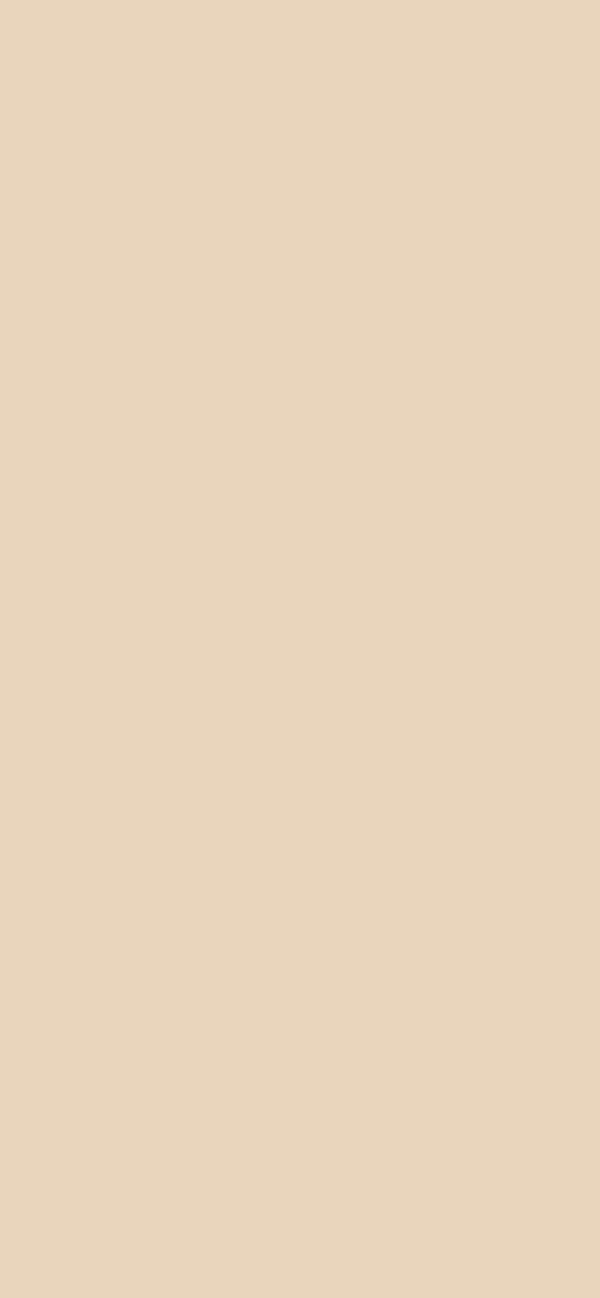 #E9D5BC color image