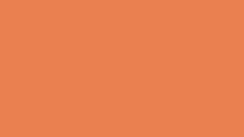 #EA804F color image
