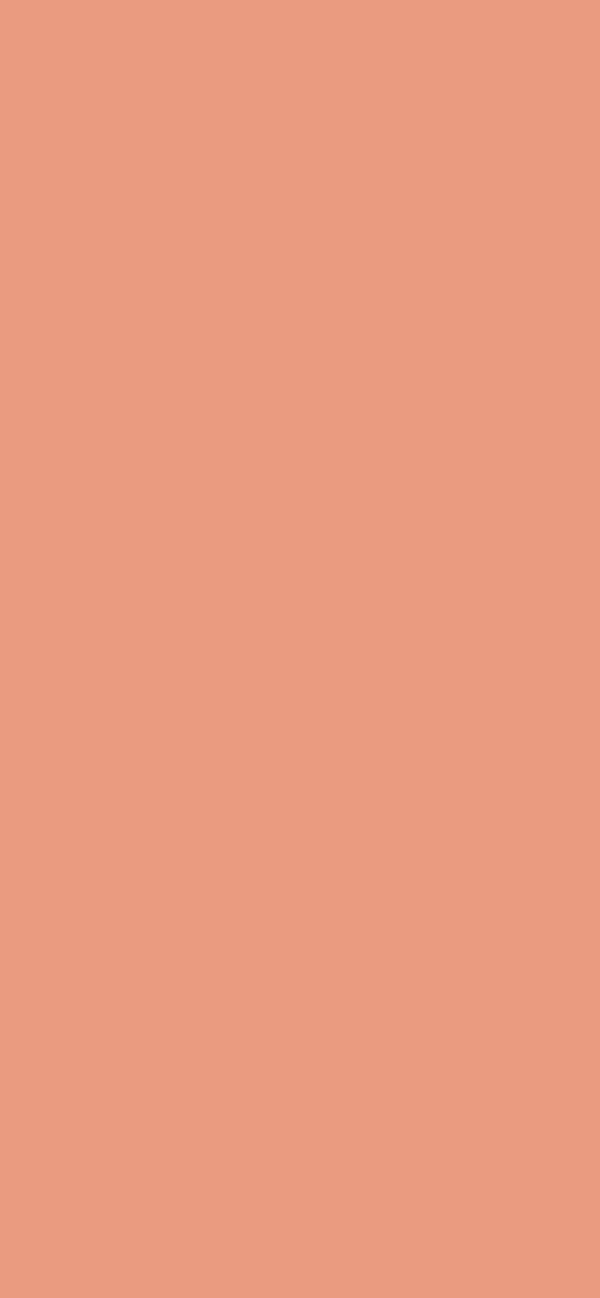 #EA9B80 color image
