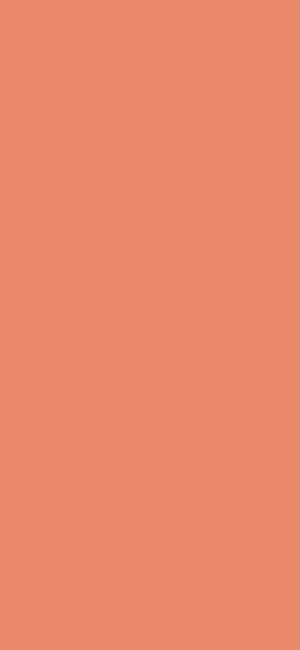 #EB8A6A color image