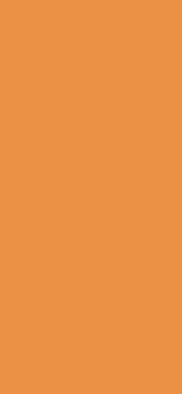#EB9146 color image