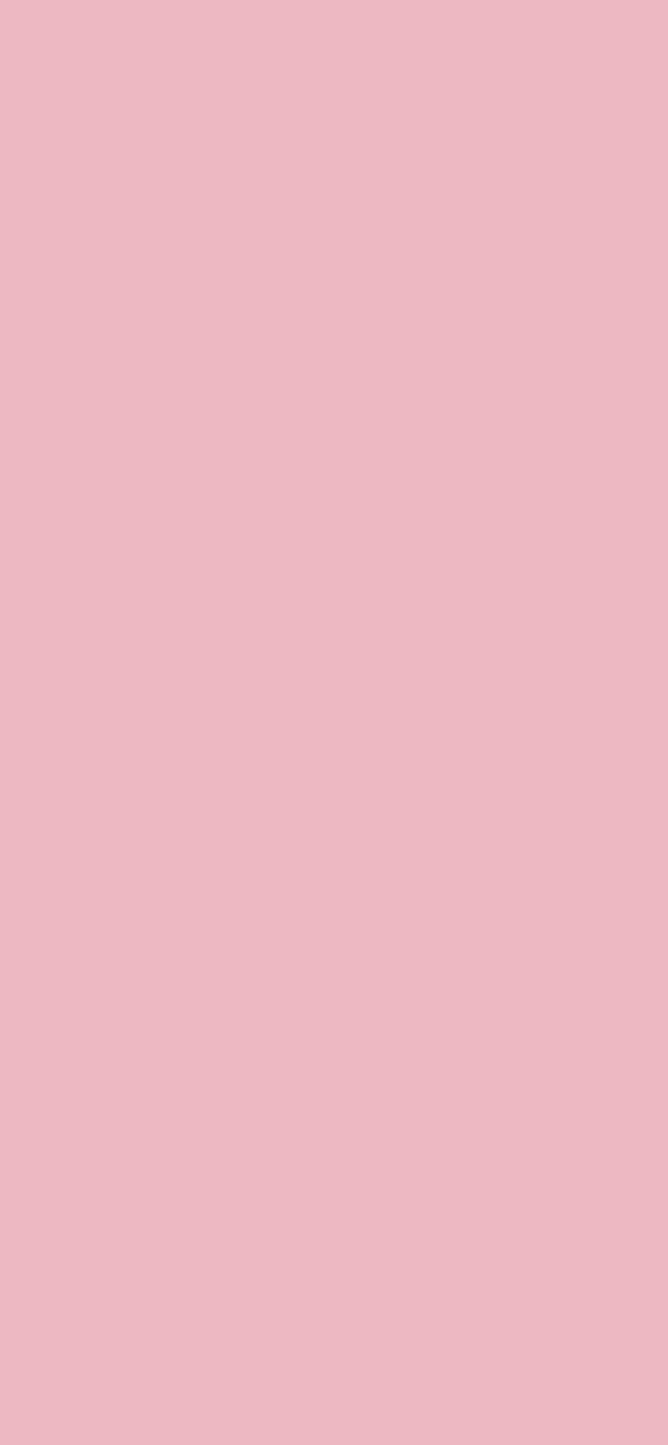 #EDB8C1 color image