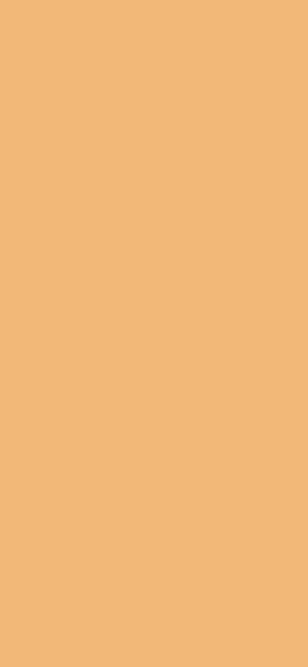#EFB876 color image