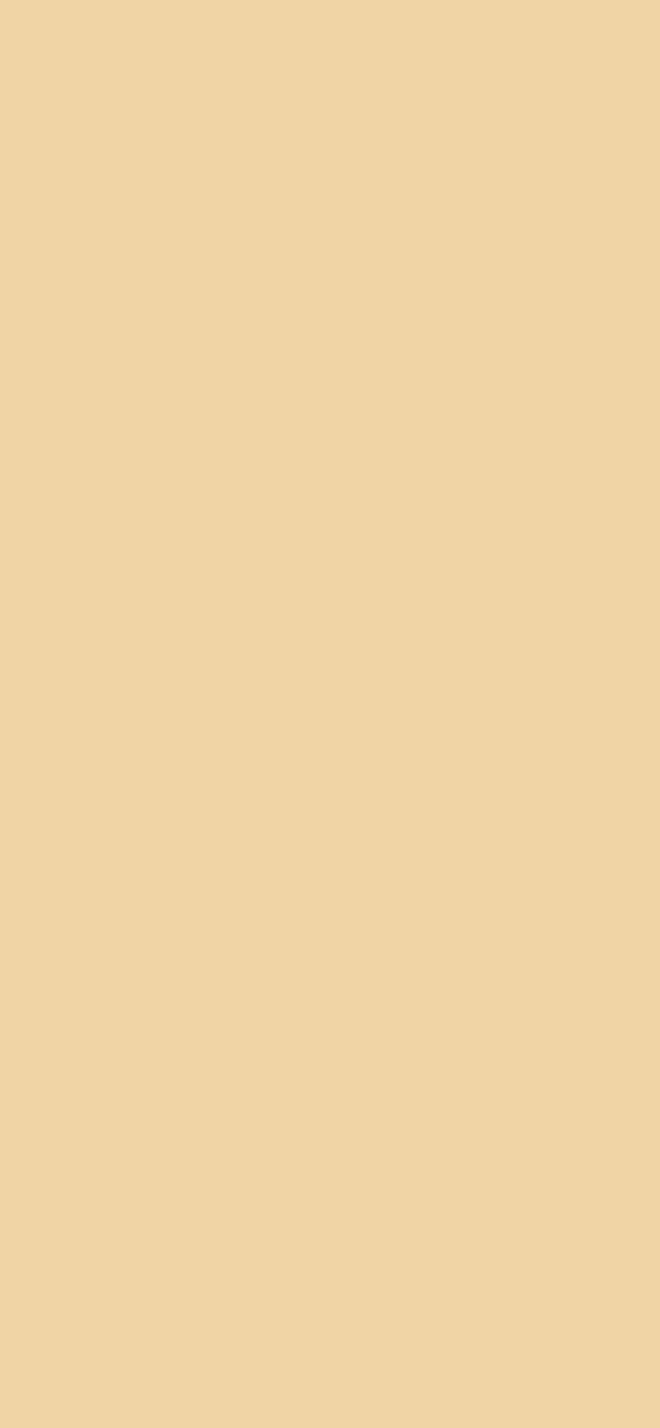 #F1D4A6 color image