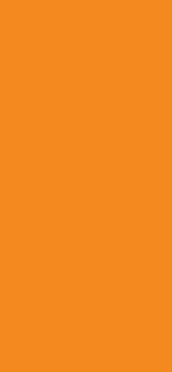 #F3891F color image
