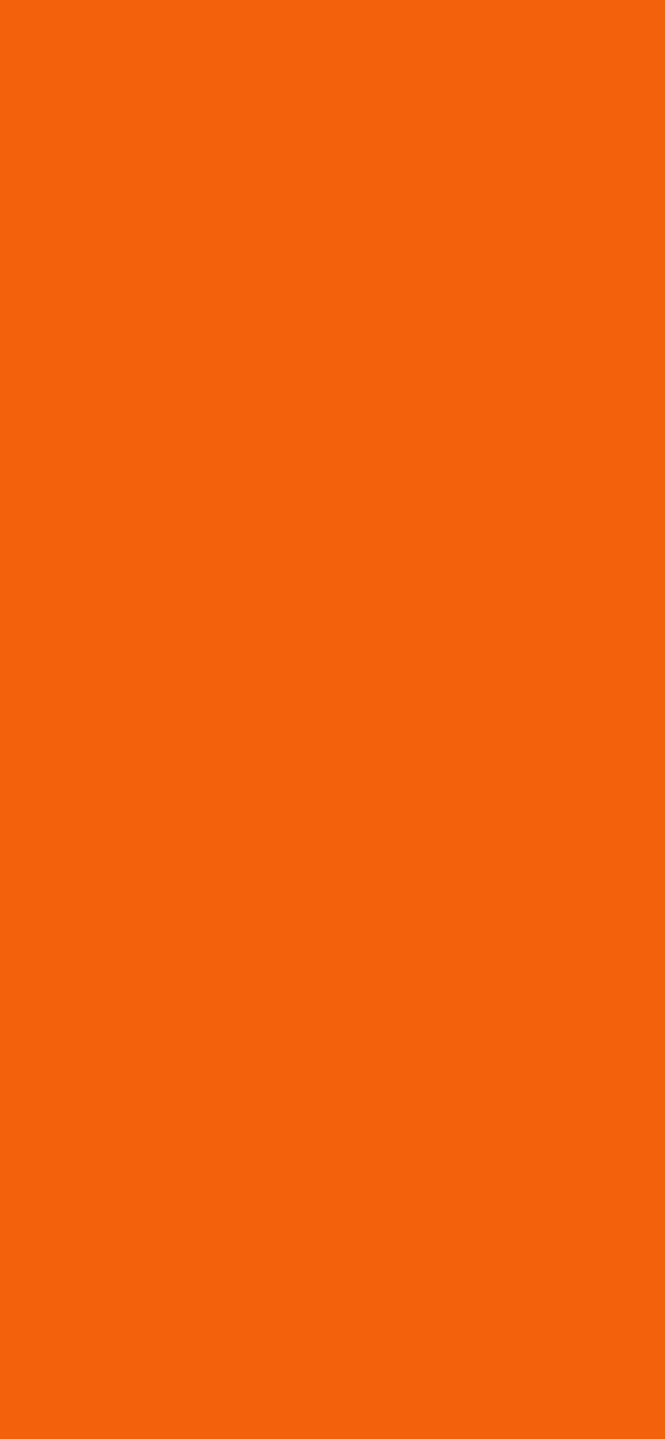 #F4610C color image